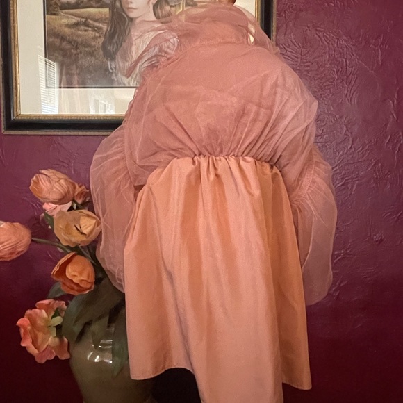 2t brand: special occasion, Pink long sleeve summer/spring dress - Picture 3 of 9